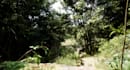 dreate 3d game environment open world map unity unreal engine level design asset