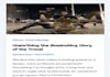 write engaging travel articles, guides, or blog posts