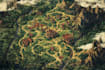 map illustration fantasy map design