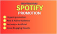 promote your music professionally