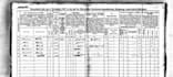 research your family history