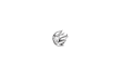 do crown tiger lion head with vector logo design