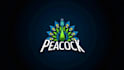 make an amazing peacock bird logo design with express delivery