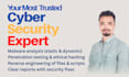 do malware analysis, reverse engineering, and threat detection
