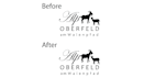 vectorize logo, convert raster to vector, and redraw design