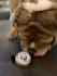 create ugc content for your pet products and services