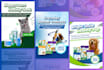 design professional email marketing assets that convert