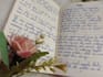 write anything in neat and clear handwriting