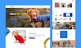 design and develop a shopify store for you
