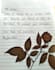 write aesthetic handwritten notes in english and spanish