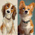 draw pet portrait with disney style