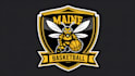 make a proffesional honey bee logo