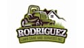 design a professional and creative lawn care logo