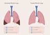 fix or edit your ai generated scientific illustrations