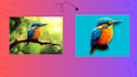professionally remove background from images and photos