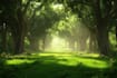 draw a environmental background art and concept art