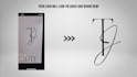 vectorize, clean up, and redraw your logo in high resolution