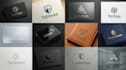 do premium 3d logo designs with infinite revisions