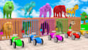 create 3d cartoon crossing fountain with animals for kids