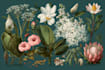 create a beautiful vintage botanical illustration