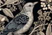 draw an animal and botanical illustration