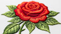 deliver fast and accurate embroidery digitizing services