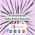 data entry in excel and copy paste