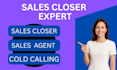 be high ticket sales closer, sales lead online sales