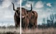 do cinematic photo color grading, retouching in the best way
