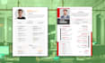 impressive professional graphical CV, resume design