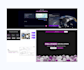 be your full stack developer react node express mongo expert