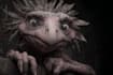 draw your monster or creature