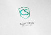 make high quality professional logo