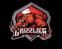 design professional angry bear logo