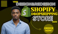 design a high converting shopify store for dropshipping brands