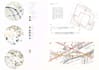 create professional architectural site analysis and conceptual diagrams