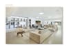 design a real estate brochure or PDF