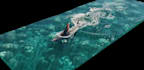 do 3d water simulation 3d liquid simulation vfx compositing 3d fluid simulation