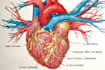 draw exercise, medical and anatomy illustrations