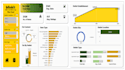 create excel professional dashboard, and pivot tables