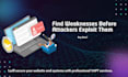 perform vulnerability assessment penetration testing on your web application