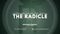 do clean creative layouts and more