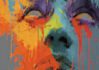 do illustration expresionism art, graffity, abstract