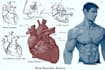 draw exercise, medical and anatomy illustrations