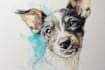 draw watercolor pet portrait