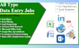 provide 100 accurate data entry services with quick delivery