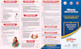 design elegant and effective brochures