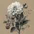 illustrate best botanical illustration