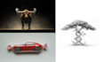 design bold campaign visuals with strong conceptual impact