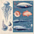 draw a scientific illustration